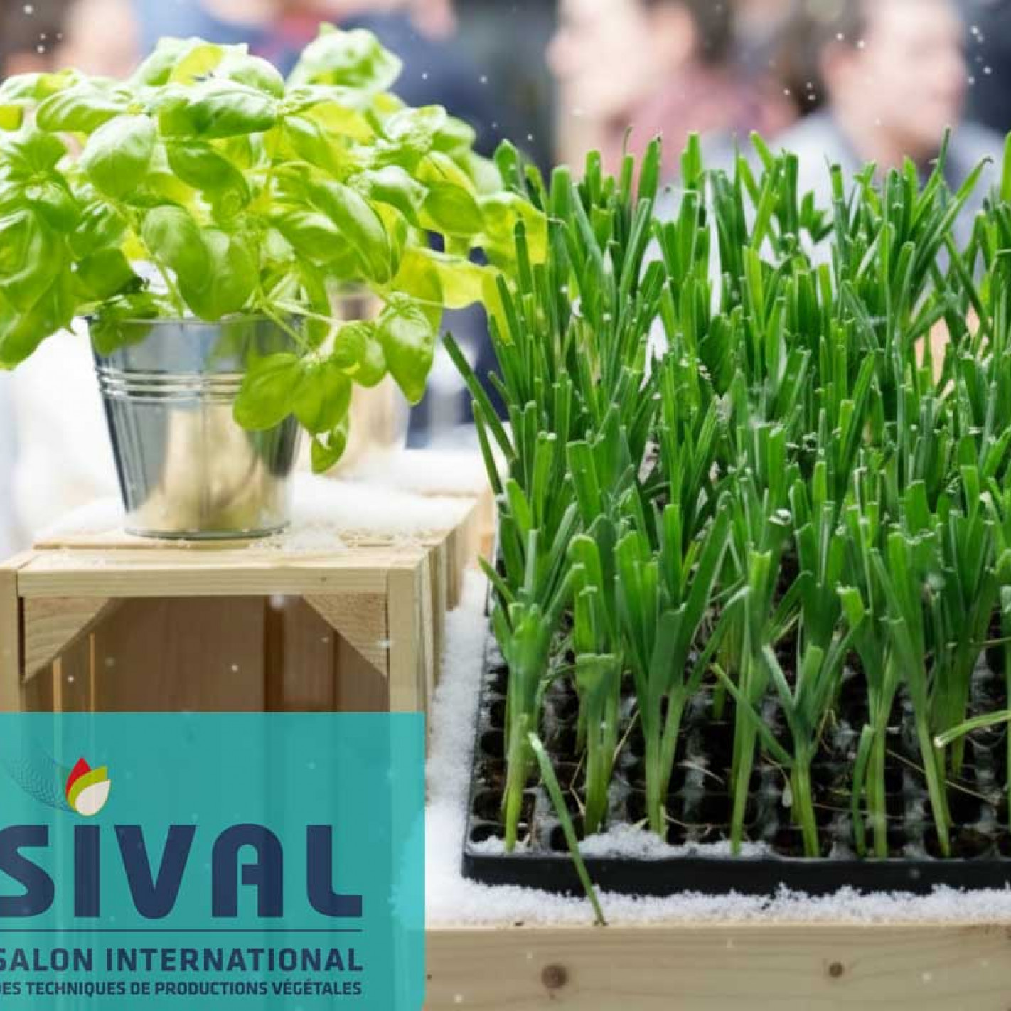 🚕 Merci pour 2025 et Cap sur une Nouvelle Année de Services !